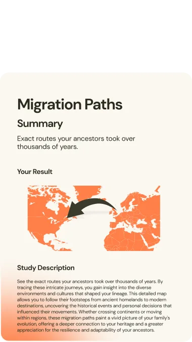 Migration Paths sample report